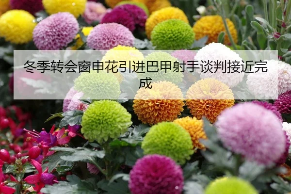 dong-ji-zhuan-hui-chuang-shen-hua-yin-jin-ba-jia-she-shou-tan-pan-jie-jin-wan-cheng-2-569.jpg